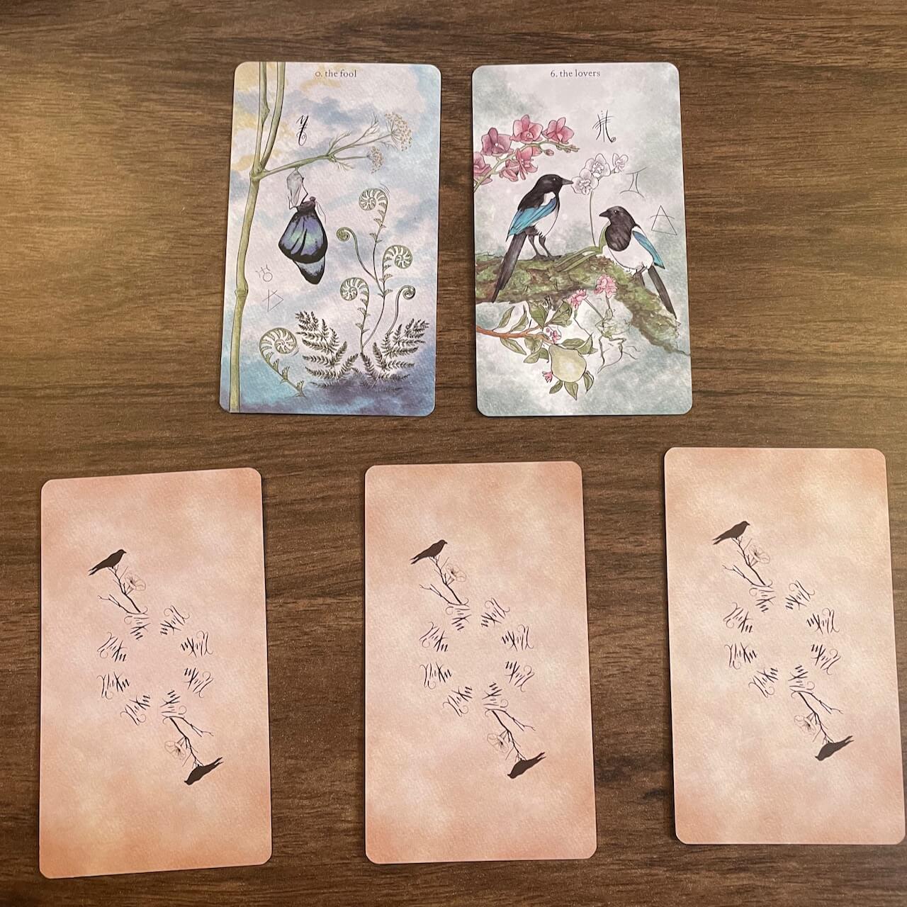 february full moonletter tarot spread