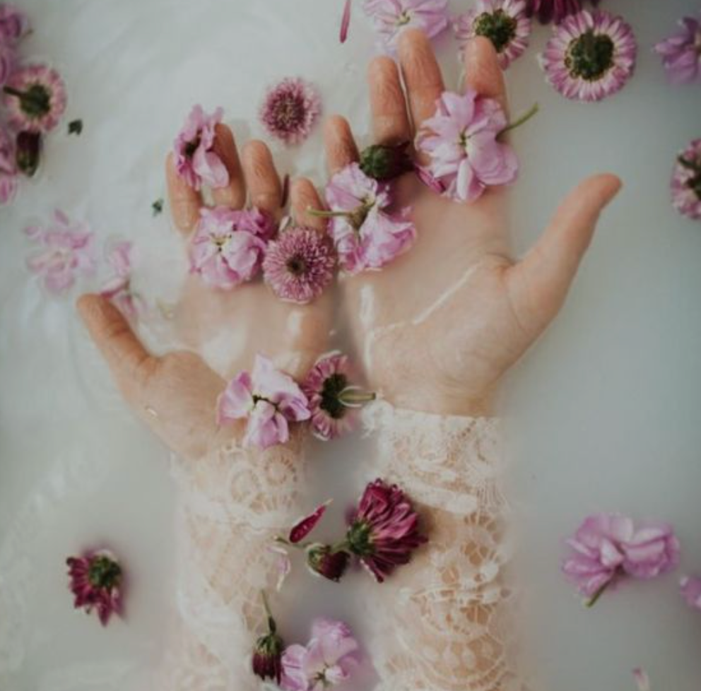 Close up of hands in a milk bath with floating flowers