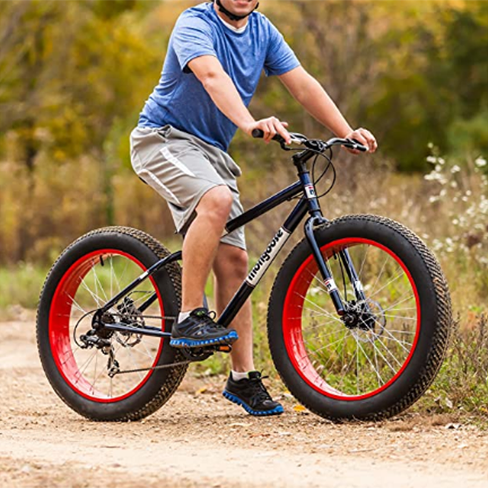 adult fat bike