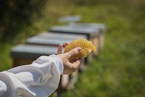 Gelee royale et les actifs de la ruche
