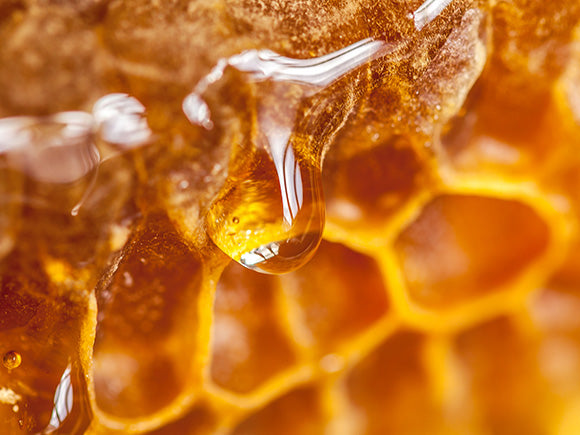 Quels sont les bienfaits des actifs ruche sur la peau ?