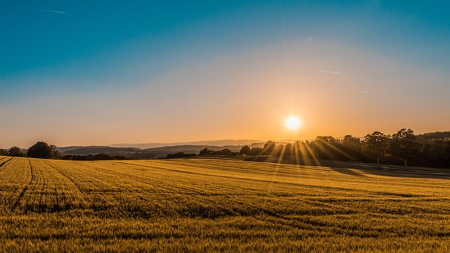 image of a sunrise over a field