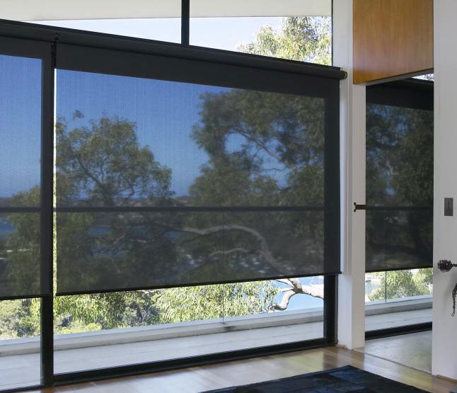 black Elite roller shades installed on a large window looking out on to sun and trees.