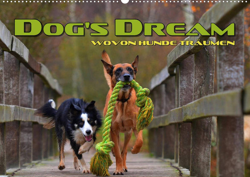 DOG�S DREAM wovon Hunde träumen (Wandkalender 2022 DIN A2 quer