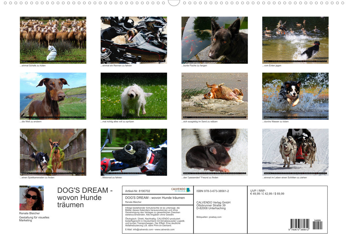 DOG�S DREAM wovon Hunde träumen (Wandkalender 2022 DIN A2 quer