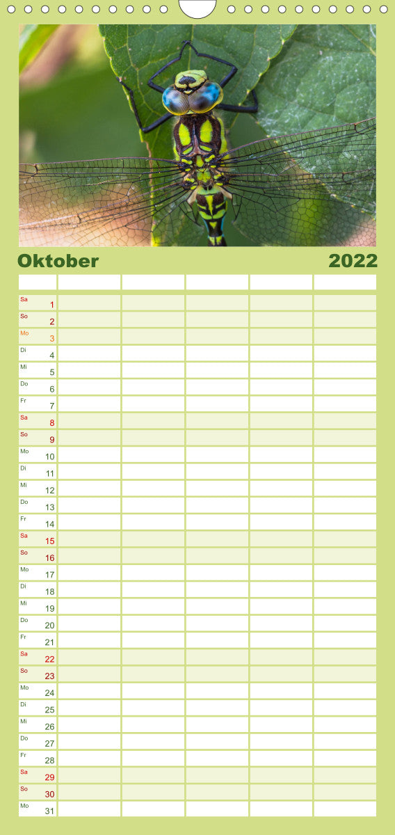 Libellen - Fliegende Edelsteine - Familienplaner hoch (Wandkalender 2022 , 21 cm x 45 cm, hoch)