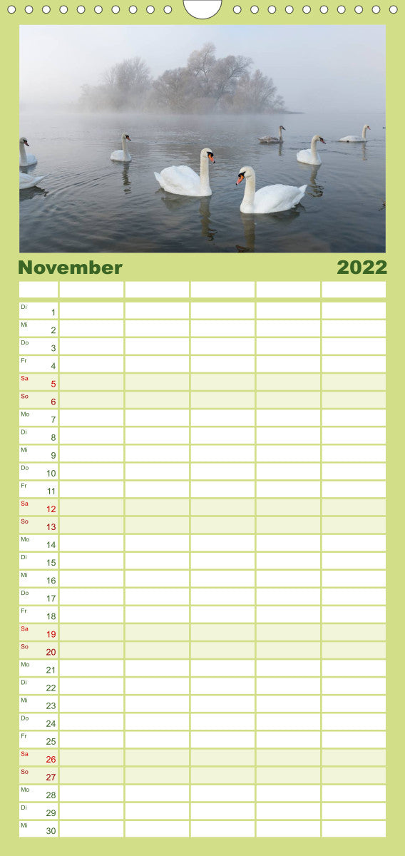 Mit dem Schwan durchs Jahr (Wandkalender 2022 , 21 cm x 45 cm, hoch)