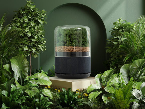 Image of Briiv air purifier on a table, in a green painted room surrounded by lots of different plants