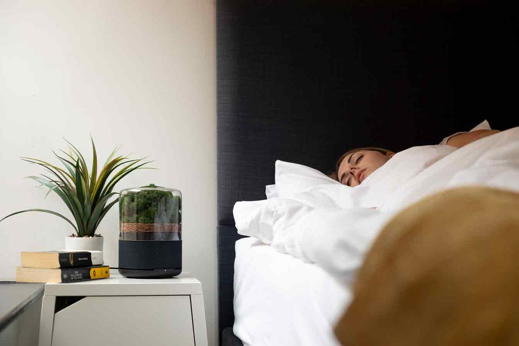 A woman asleep in a large bed takes up the right half of the image. The left shows a bedside table with a plant and a Briiv air purifier.