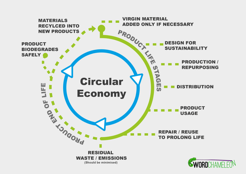 An informative chart displaying a visual representation of how the circular economy works.