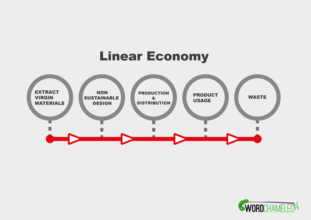 An informative chart displaying a visual representation of how the linear economy works.