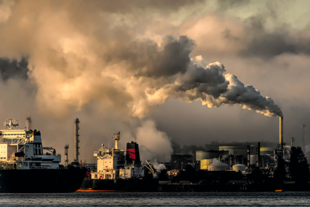 Two cargo ships pulling into an industrial harbour next to a factory emitting smoke into the environment.
