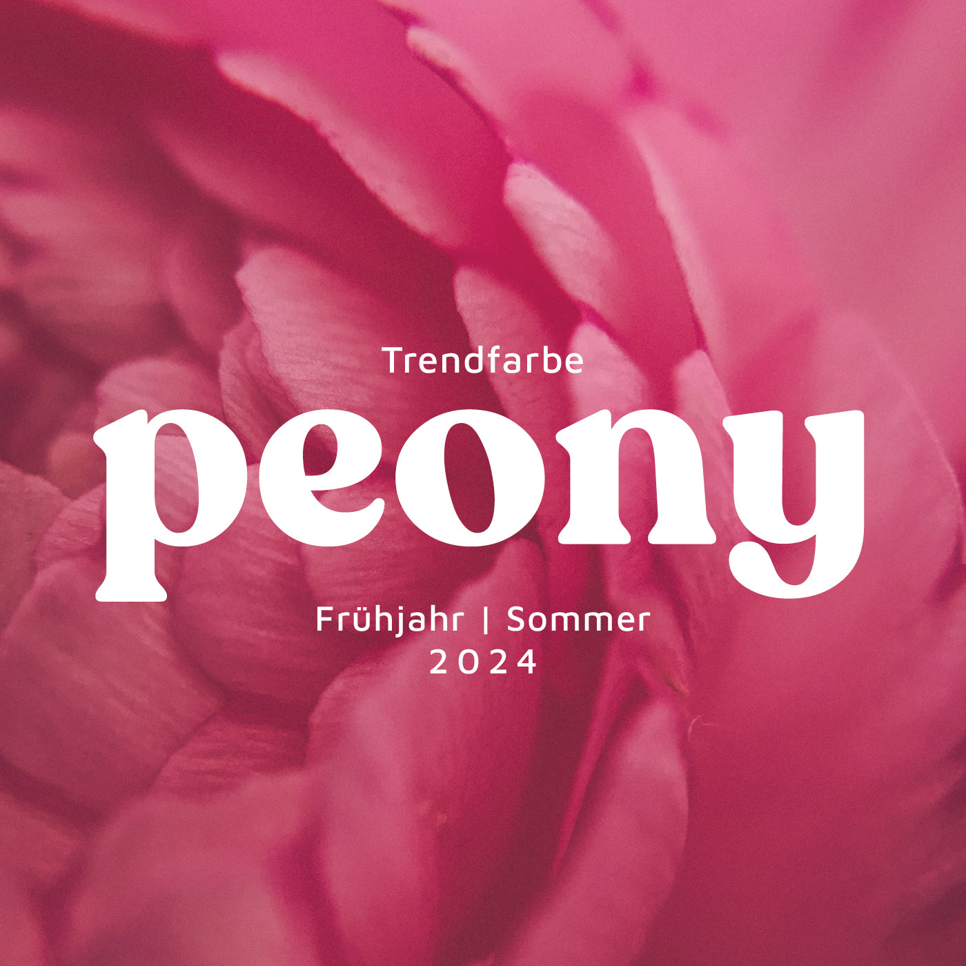 trendfarbe peony fruehjahr sommer