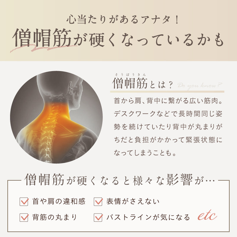 NIPLUX公式店】NECK RELAX PLUS│首元まるで無重力│折りたためる