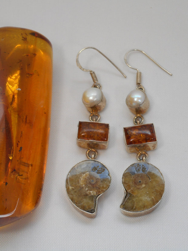 Amber Earring Set 4 with Ammonite Fossil and Pearl – Andrea Jaye Collection