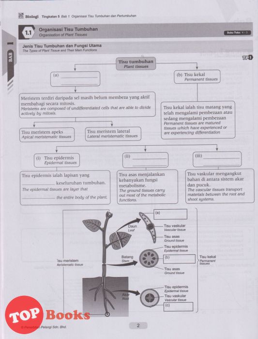 [TOPBOOKS Pelangi] Module & More Biologi Tingkatan 5 KSSM Dwibahasa (2