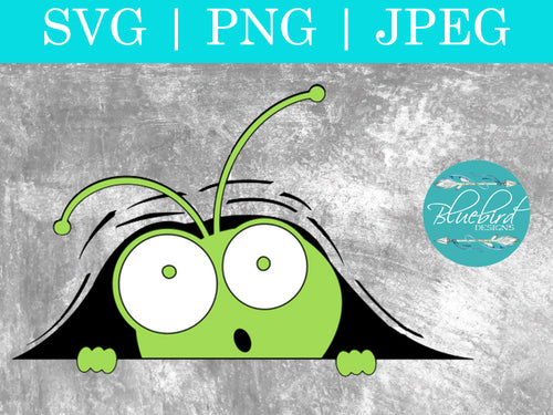 Download Svg S Bluebird Designs