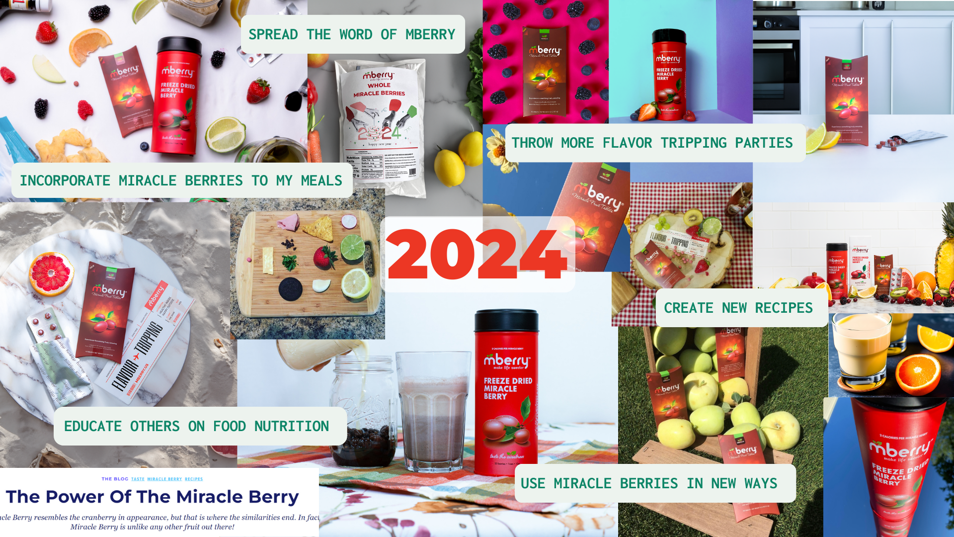 mberry 2024 vision board with our goals as a business