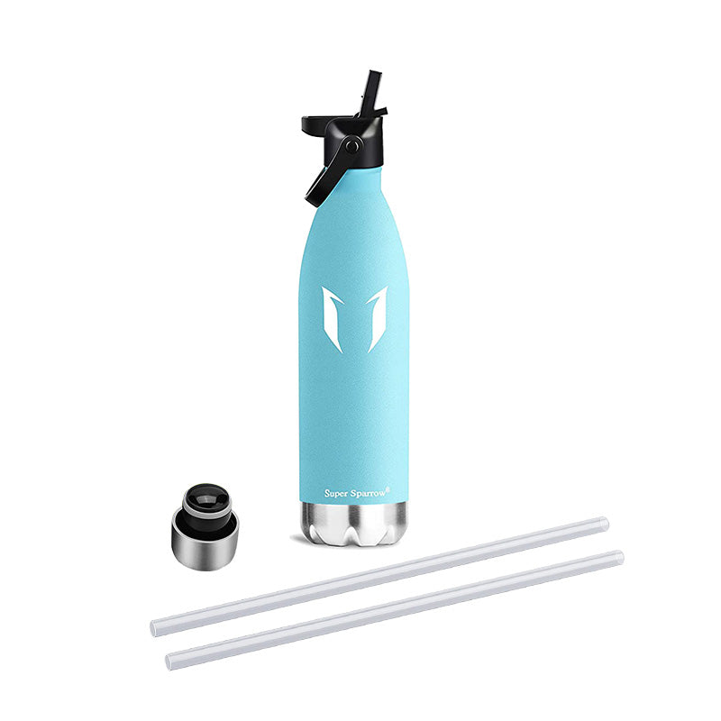 Vacuum Insulated Water Bottles, 500ML / 17OZ