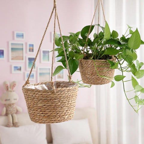 Hanging baskets