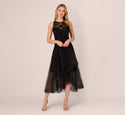 Sophisticated Halter High-Low-Hem Sleeveless Embroidered Illusion Applique Mesh Party Dress