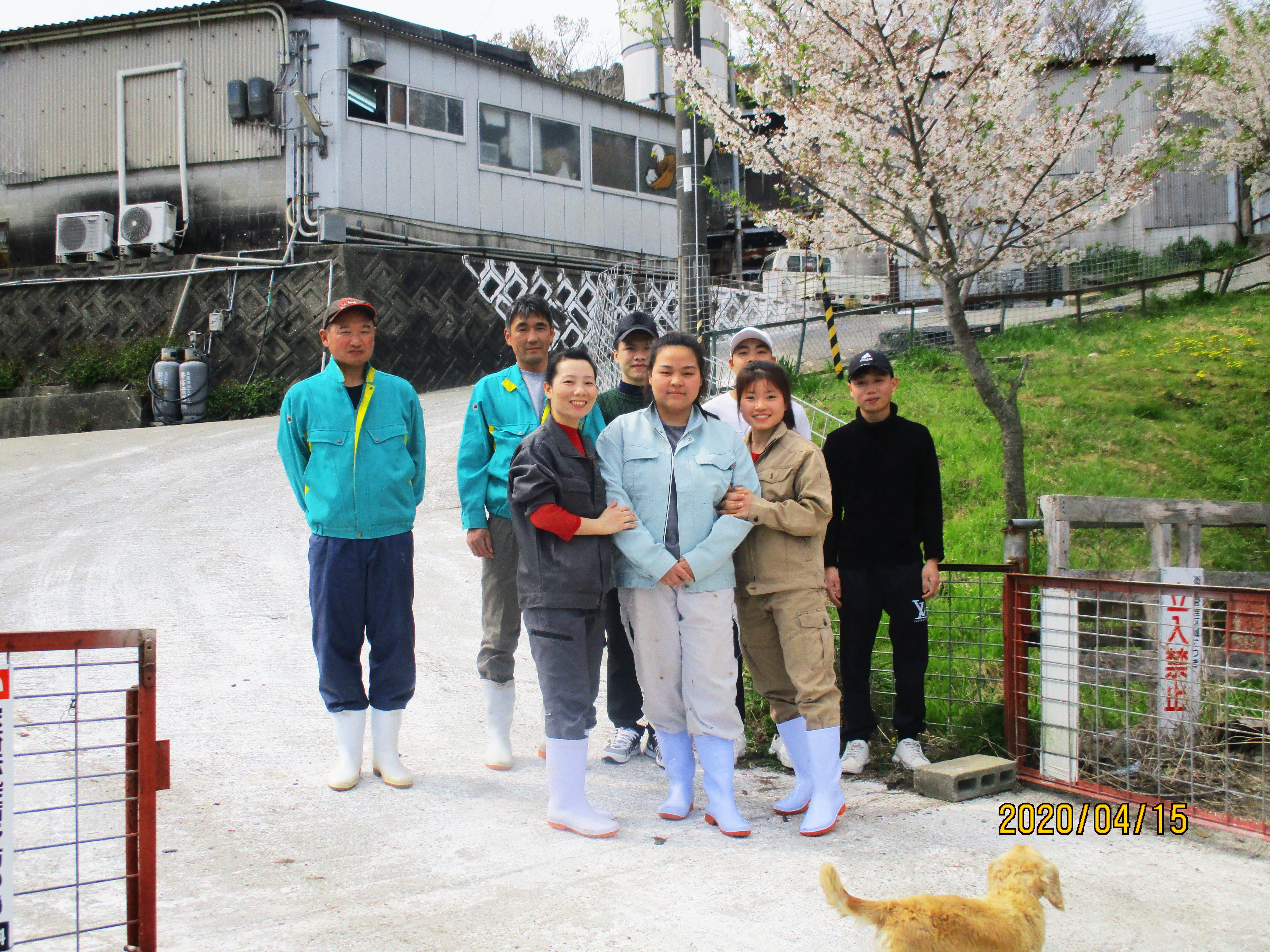 ２．健康的な環境・栄養たっぷりの餌で育つからおいしい！のイメージ画像