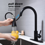 Kitchen Faucet with Pull Out Spraye