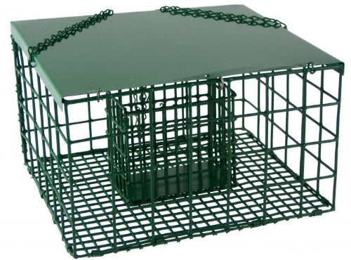 squirrel resistant suet palace