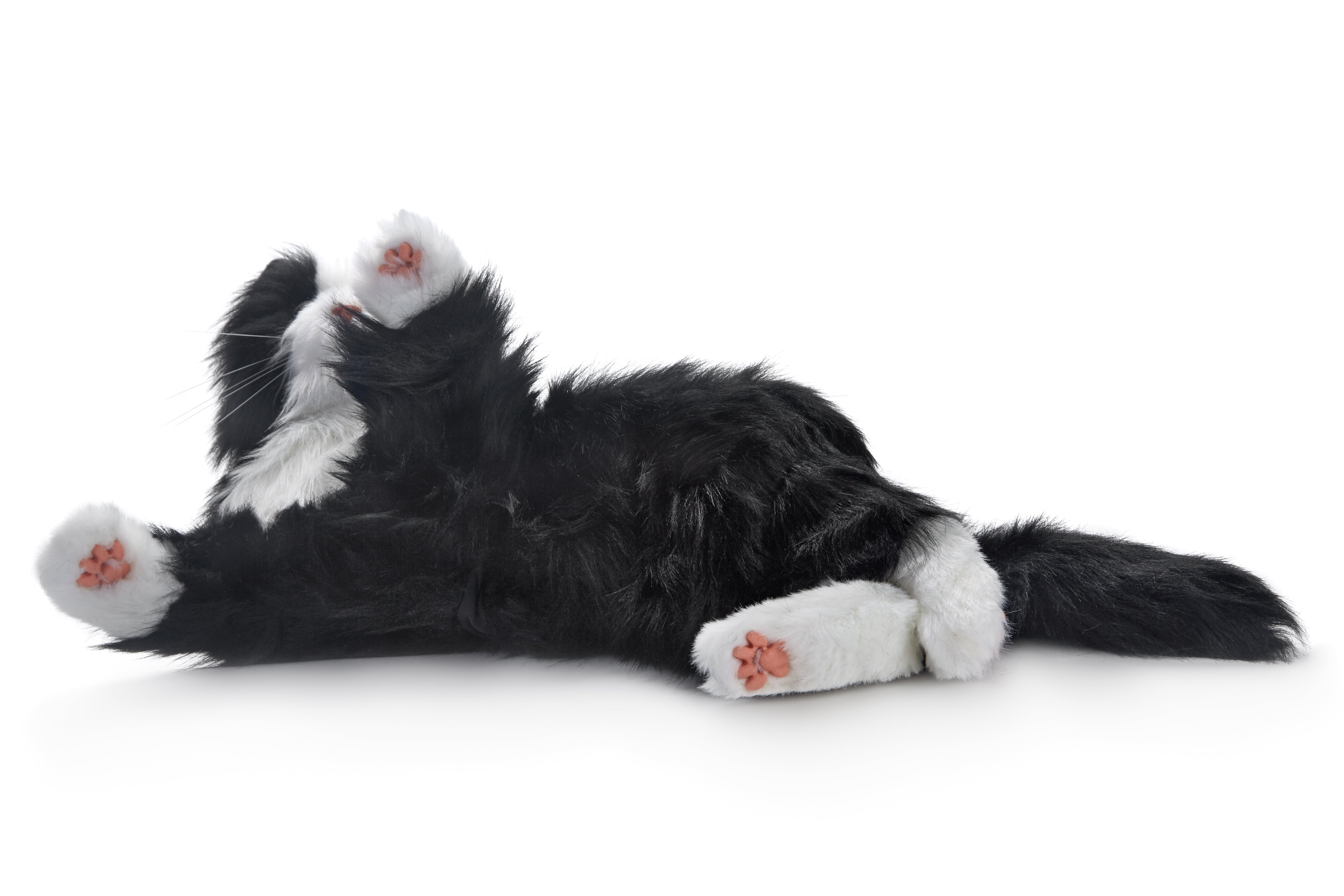 plush tuxedo cat