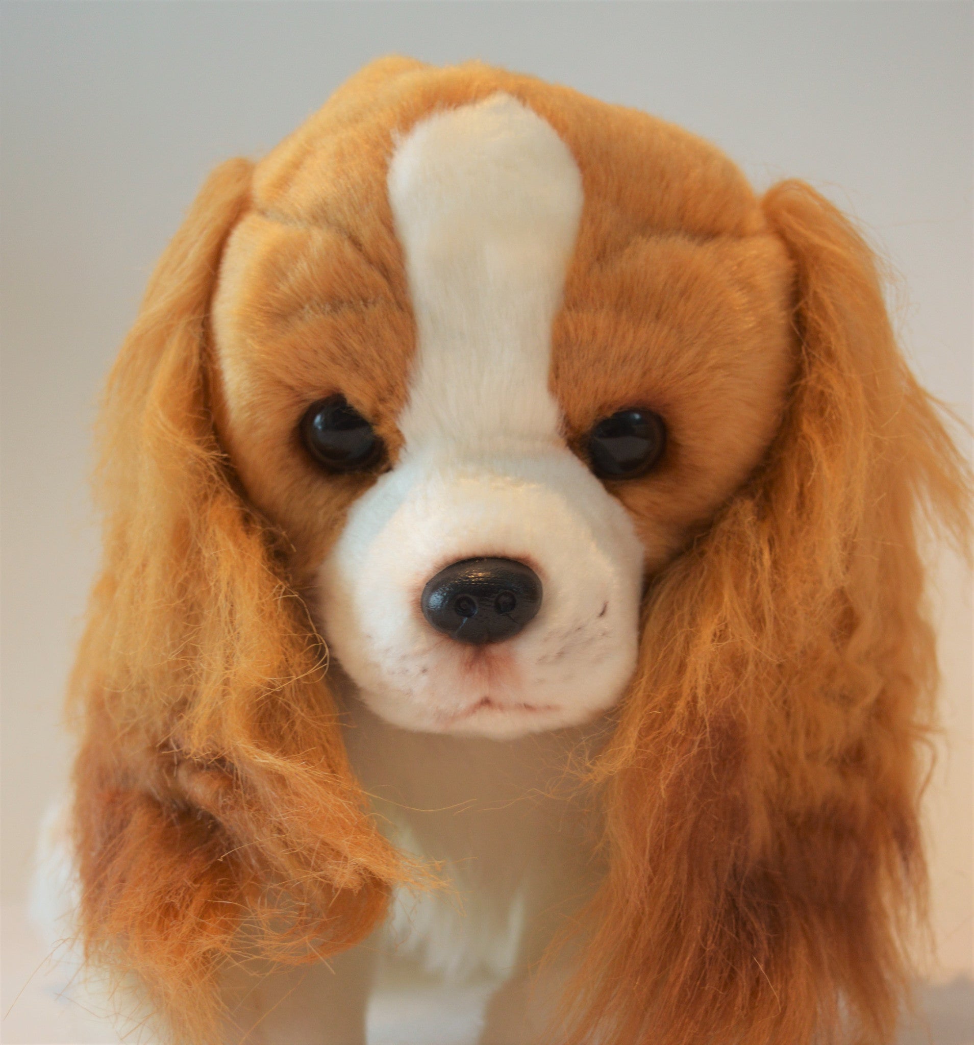 king charles spaniel soft toy