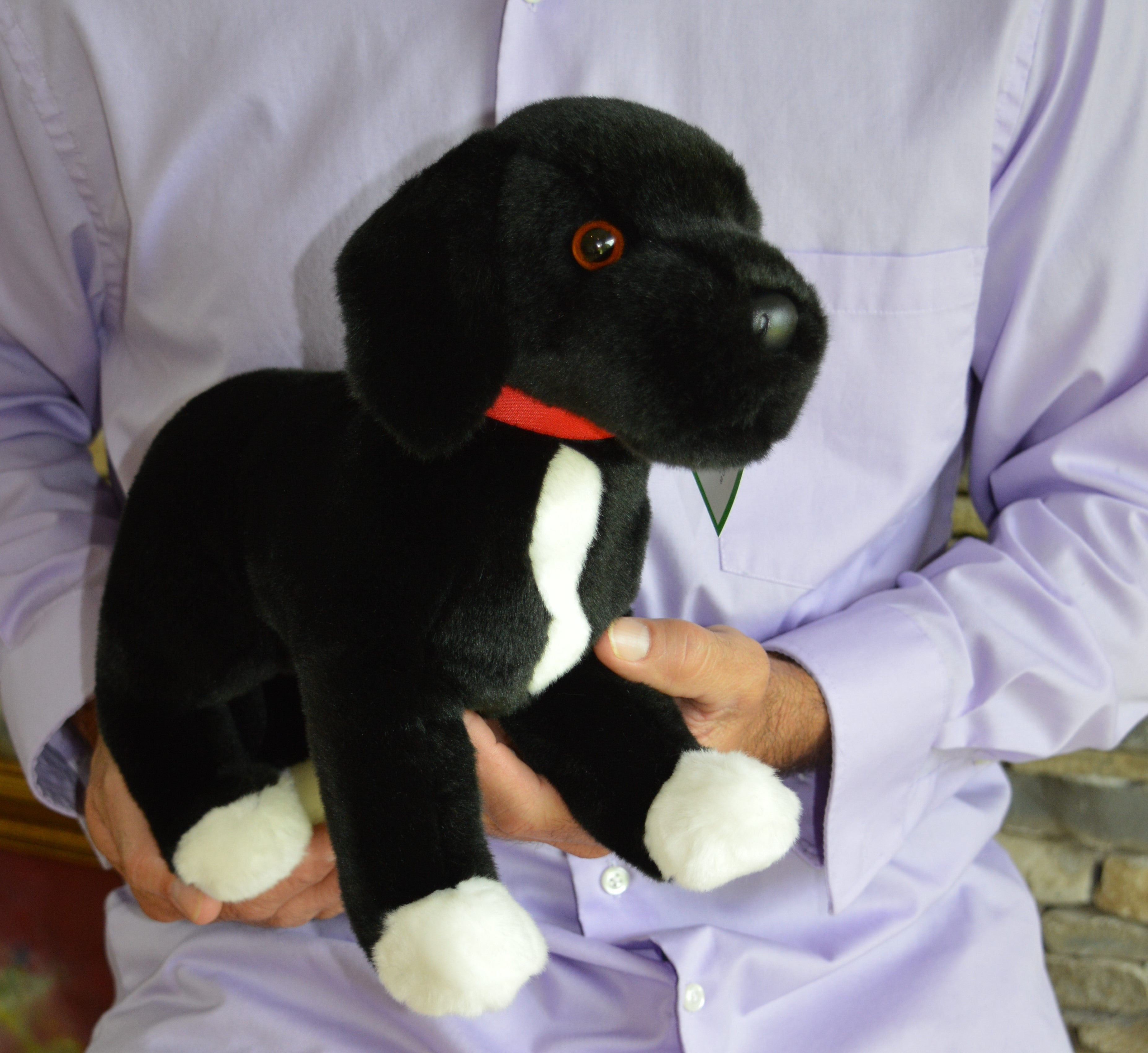 black pitbull stuffed animal