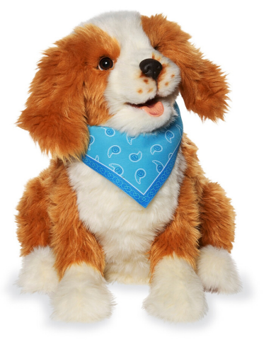 Plush Toys for Senior Dogs - SeniorPetProducts