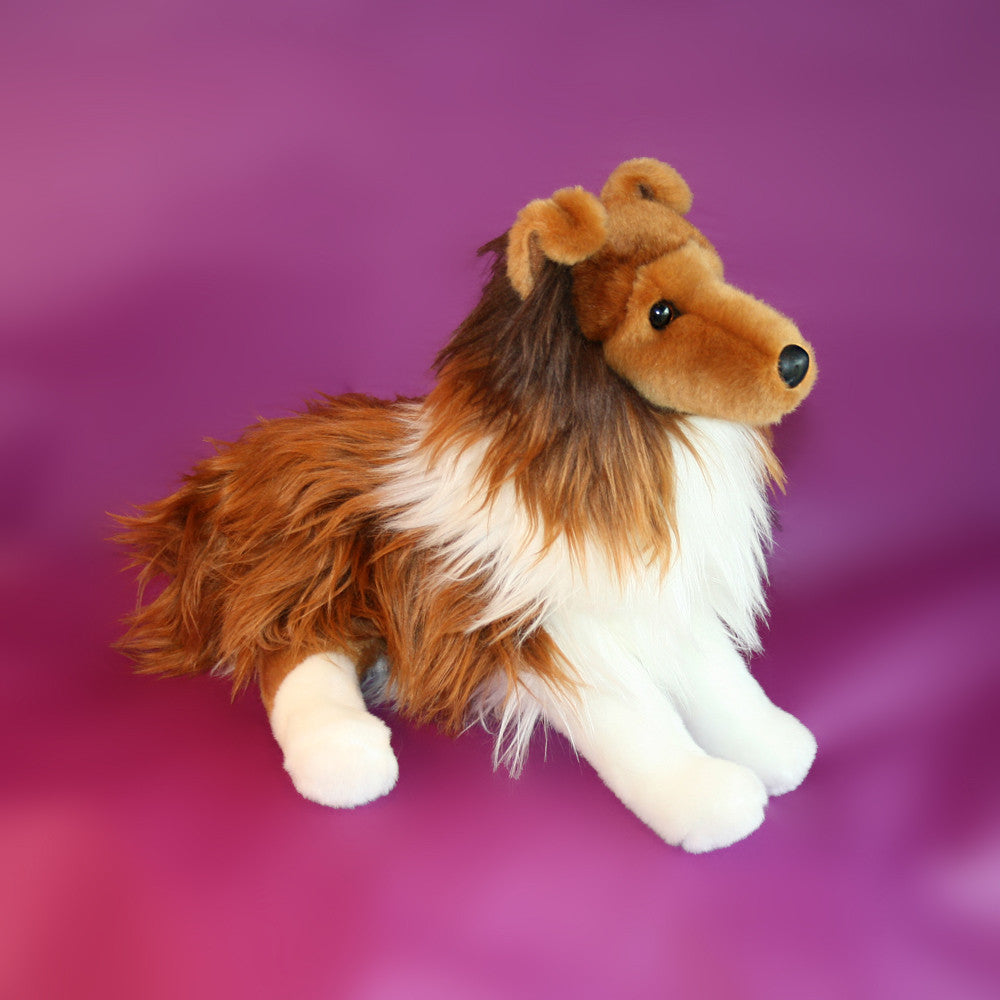 toy sheltie