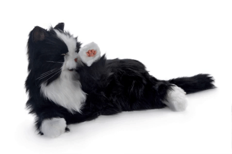 New Joy For All Robotic Black White Tuxedo Cat Companion Pet For People With Alzheimer S And Caregivers