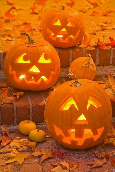 hallowoon pompoen