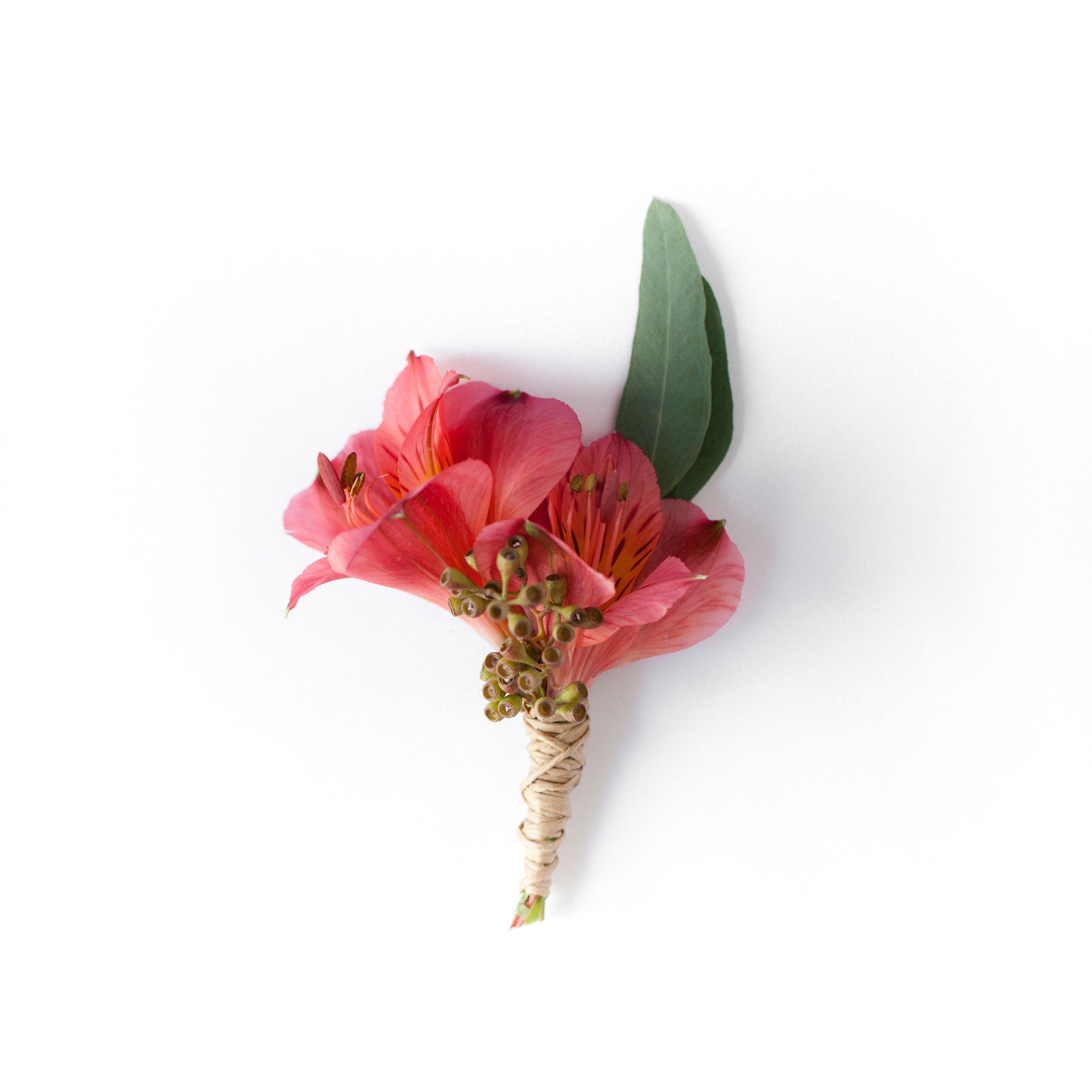 Boutonniere / Corsage - Rustic Coral – Pops of Plum