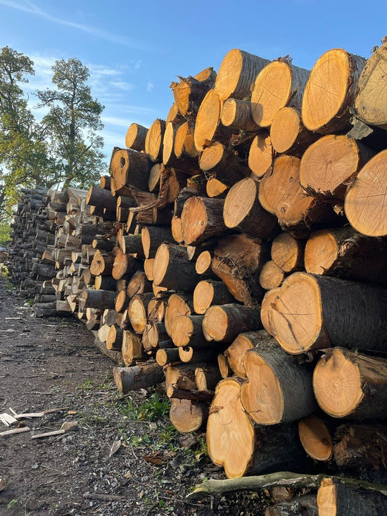 7 Things You Need to Know When Buying Firewood – Love Logs