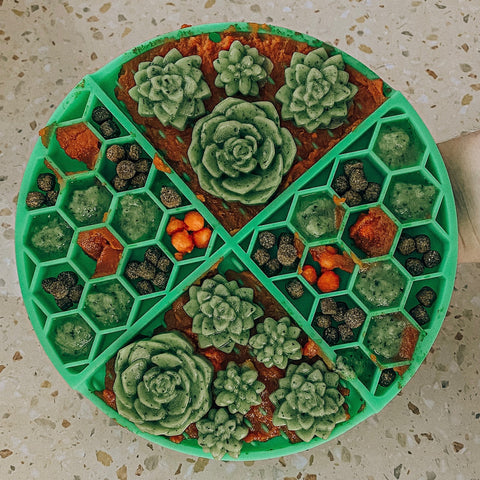 A green circle lick mat with succulents, dry kibble, and pureed carrot.