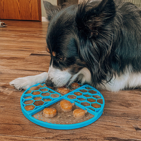 Dog enjoying a lick mat