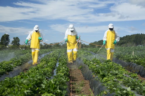 Pesticides and chemicals sprayed onto crops non organic farming