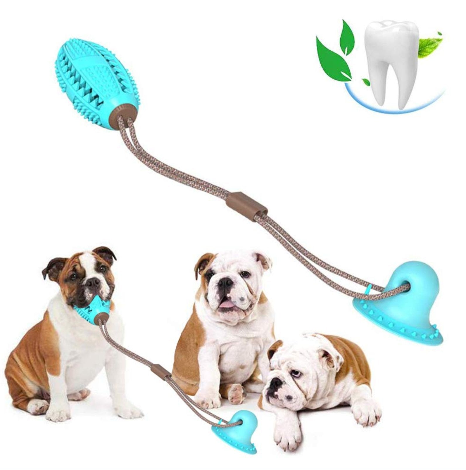 dog suction pull toy