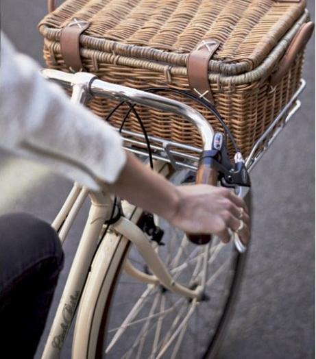 basil front bike rack