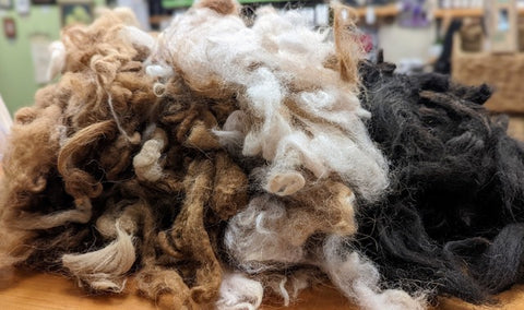 5 Benefits of Alpaca Fleece (and Why It's the Best Pillow Filling) – Hoppy  Dreams Sleep Company