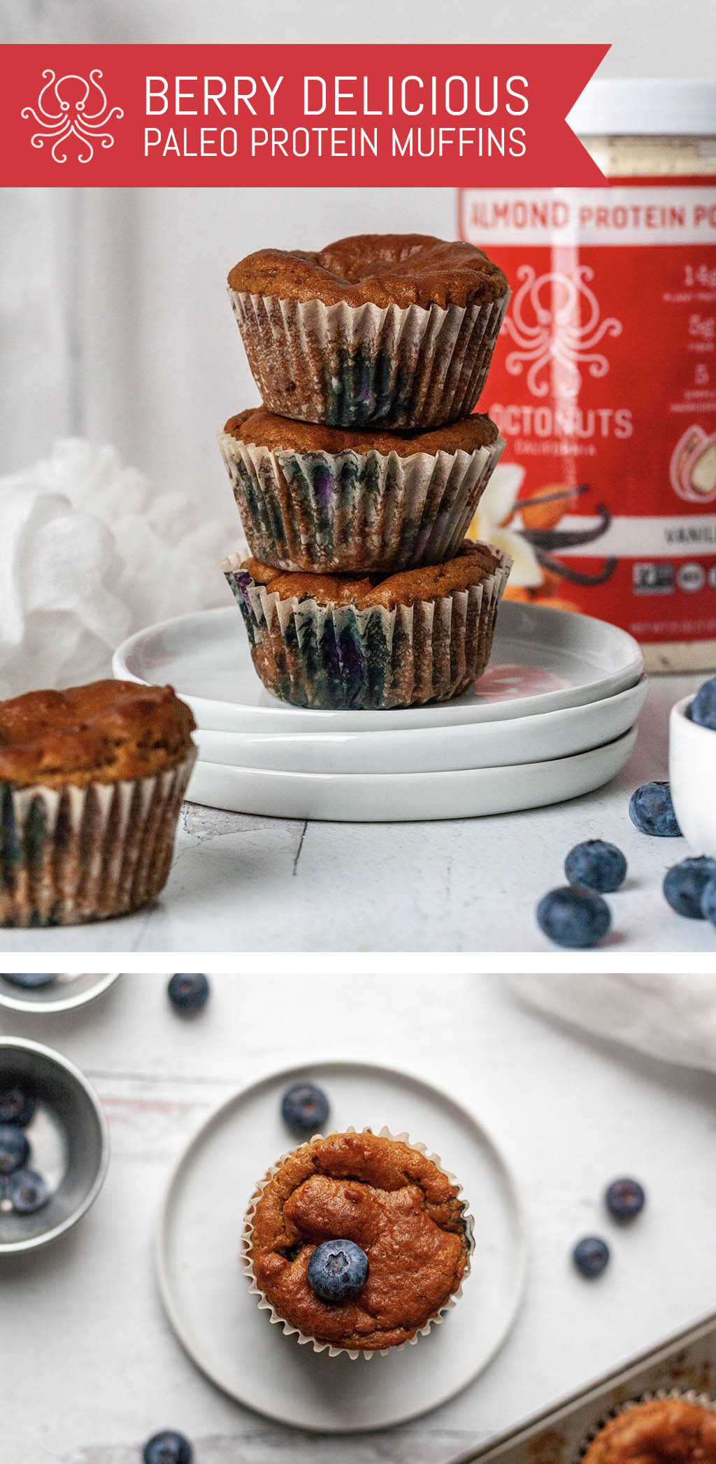 Octonuts Paleo Blueberry Protein Muffins Recipe