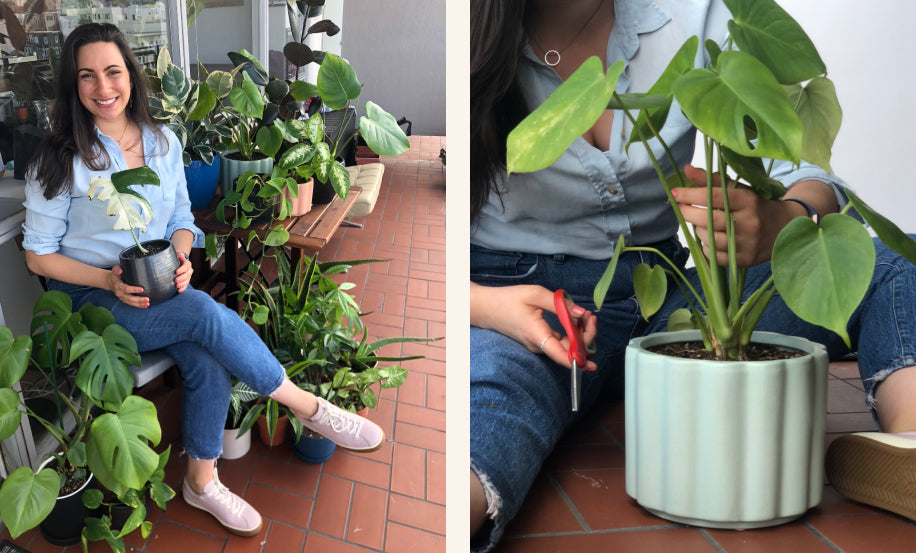 Propagating plants with Lauren.