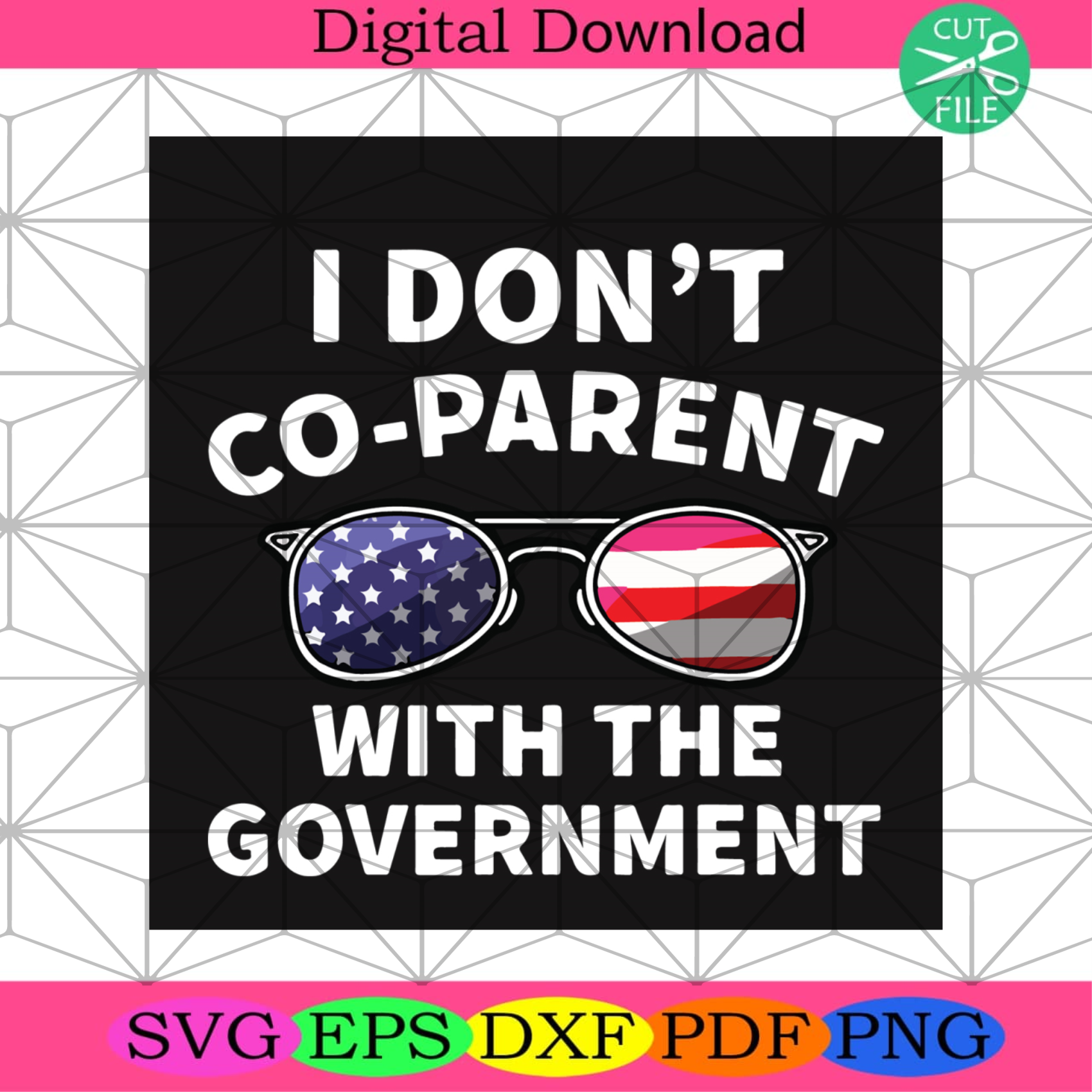 I Dont Coparent With The Government