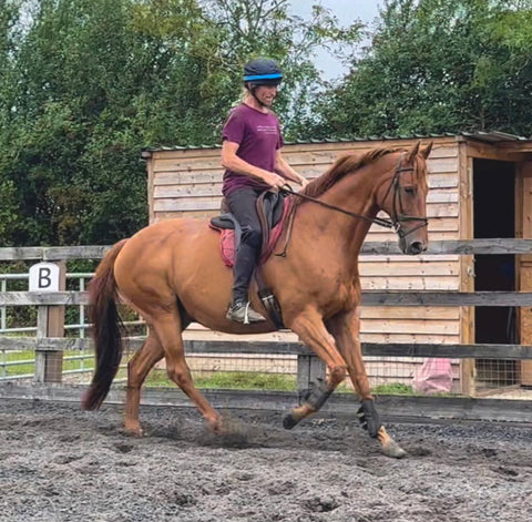 Eventer Gavin Connell's horse Bailey