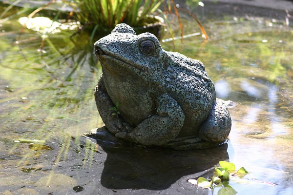 How to clean garden statues