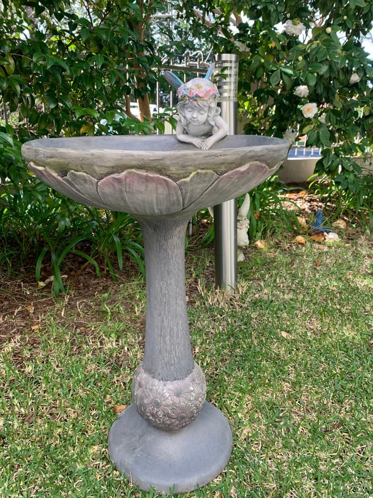 bird bath basics