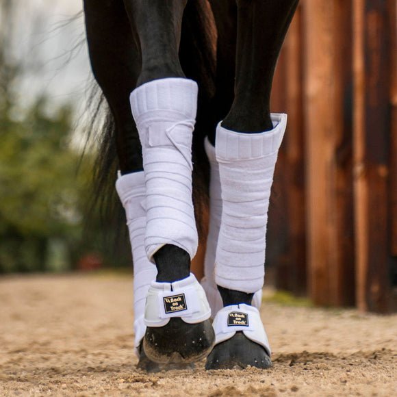 Horse Leg Wraps/Bandages – Back on Track Worldwide